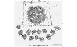 蒙古匈奴贵族墓地初步研究