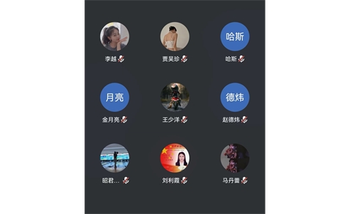 昭君博物院召开线上专题学习会议